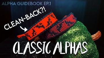 ALPHA GUIDEBOOK EP. 1 || Classic Alphas - The Two-Tone Clean-back Method