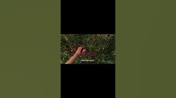 Mad Glitch | Subsistence | Gameplay | #shorts