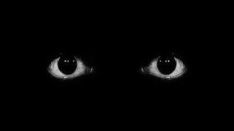 Entity Day in Cube Runners.