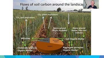 13 Soil Carbon Management and Methodologies