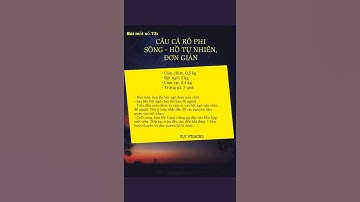 Bài mồi câu cá rô phi sông hồ tự nhiên đơn giản