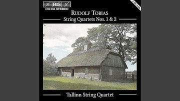 String Quartet No. 2 in C Minor: I. Allegro moderato e maestoso