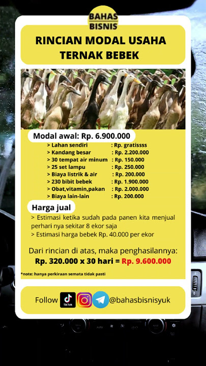 Rincian modal usaha ternak bebek