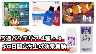 ろ過バクテリア材 4種類を30日間使用した効果まとめ（バイオダイジェスト・バイコム・B-4・ミクロライブ）【海水魚】【再編集】