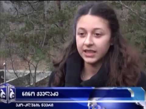 გარემოსდაცვითი განათლება სკოლებში