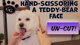 HandScissoring a TeddyBear Face UNCUT  No Clippers Real Time Face Grooming  Gina's Grooming