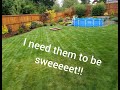 How to Mow a Lawn Correctly and get SWEET LINES!