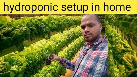 Start hydroponic system in house #hydroponic #farming #apnakheti #garden #smartfarming #gardening 