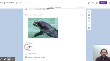 Capítulo 8 - Como atribuir pontos às questões e configurar a correção automática