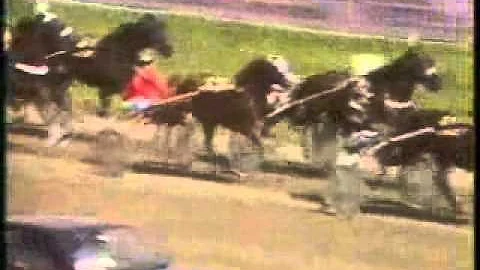 Kampioenschap Nederland Paarden 1986 -Yzeren Hein