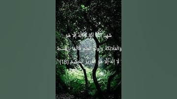 سورة: آل عمران/لقارئ: عبد العزيز سحيم.(ورش عن نافع)