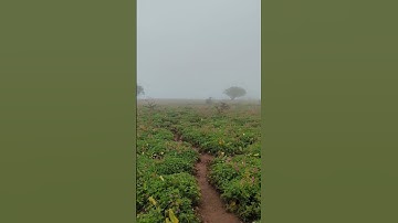 Thumbnail of Kaas plateau