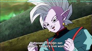 No 18 vs Supreme Kai