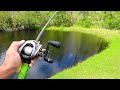 Fishing a HIDDEN Swamp for GIANT Bass! (Bank Fishing)
