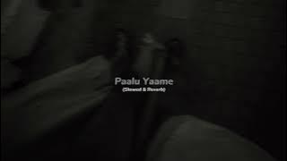Paalu Yaame (Slowed & Reverb) - Iman Fernando