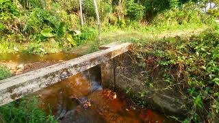 Horana | Sri Lanka