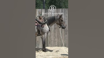 Es20 Colt Starting  Magnolia Day 8 2 mp4