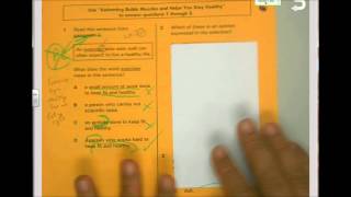 Testing Strategies 2 English
