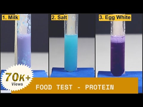 Video: How Can You Prove The Presence Of Proteins In Food?