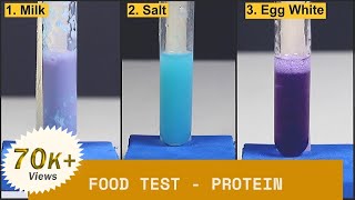 Food Test - Protein | ThinkTac