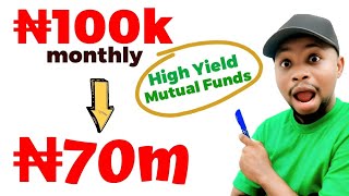 How Much Can You Really Make Investing N100,000 In A High Yield Mutual Funds Every Month?