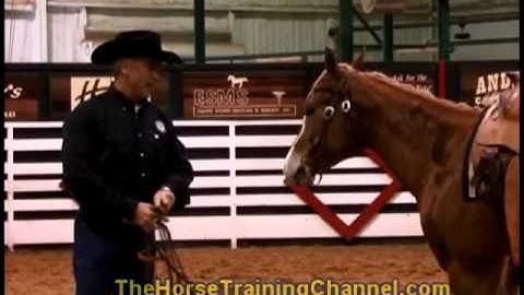 Champion Horse Training Tip #8: Fitting Your Horse Into The Snaffle