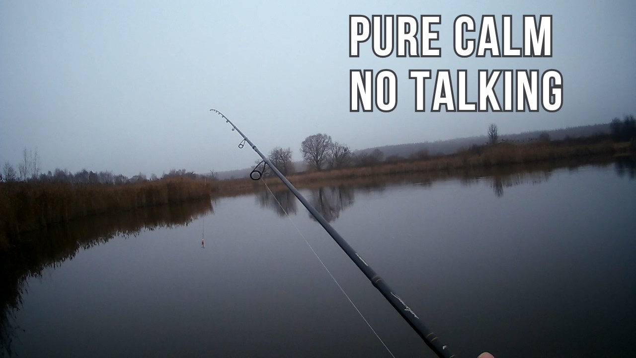 Calm Fishing Atmosphere — Relaxing Nature Ambience