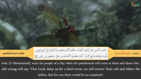 أواخر سورة إبراهيم |بصوت الشيخ أحمد المنجى| مؤثر