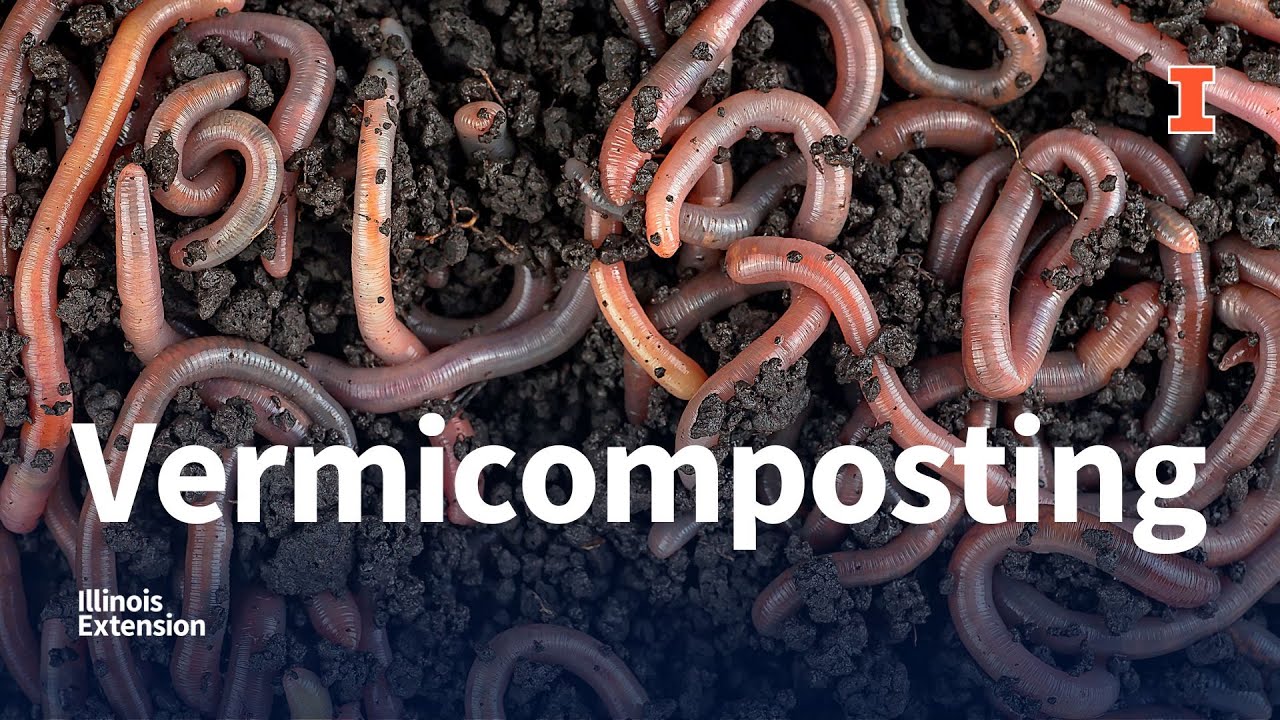 Vermicomposting Webinar