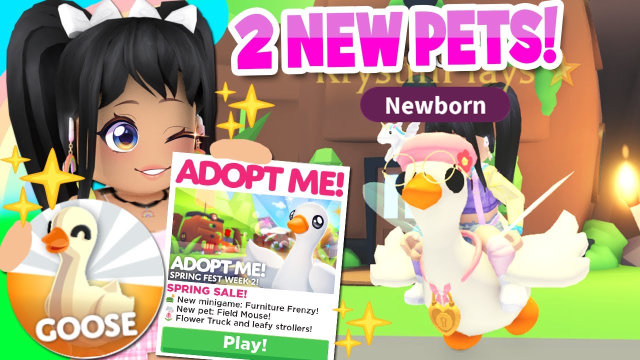 🐞 ATRAVESSAMOS a PAREDE do NOVO PET SHOP 🐶 ADOPT ME - Roblox