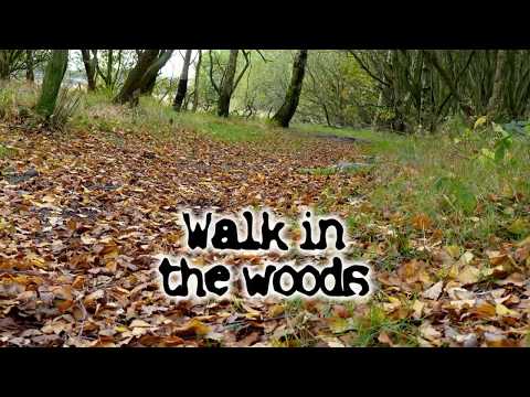 walk in the woods
