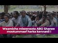 Waamicha Miseensota ABO Shanee Mootummaaf Harka Kennanii NOMORE SHENEвќЊвќЊвќЊ Shaneen Diina Oromooti Waamicha Miseensota ABO Shanee Mootummaaf Harka Kennanii NOMORE SHENEвќЊвќЊвќЊ Shaneen Diina Oromooti