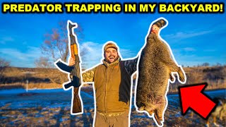 PREDATOR Trapping in My BACKYARD!!! (Catch Clean Cook)