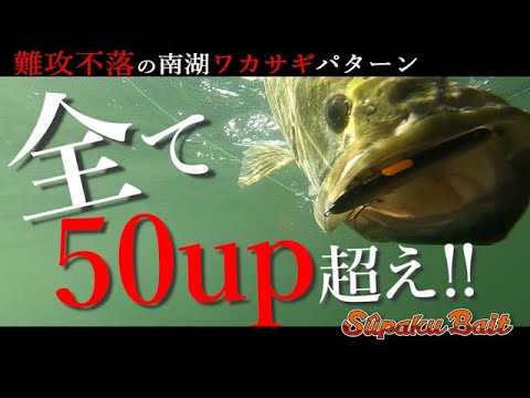 希少 未開封 タカラ Bビーダマンルアー for bass 希少 未開封 タカラ Bビーダマンルアー for bass
