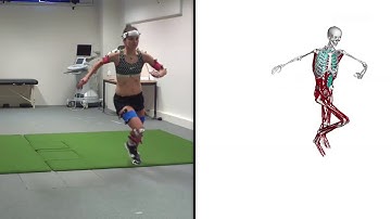Biomechanics research - Studies on injuries of high-level players