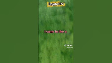 Drone Stuck In Tree 🦚 Again #drone #fpv #fpvdrone #lake #forme #shorts #freestylefpv #fpvfreestyle