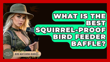What Is The Best Squirrel-proof Bird Feeder Baffle? - Bird Watching Diaries