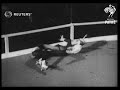 Roller derby in Chicago (1941)