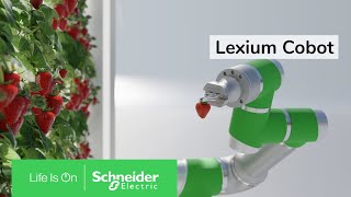 Lexium Cobot, the helping hand you are looking for | Schneider Electric