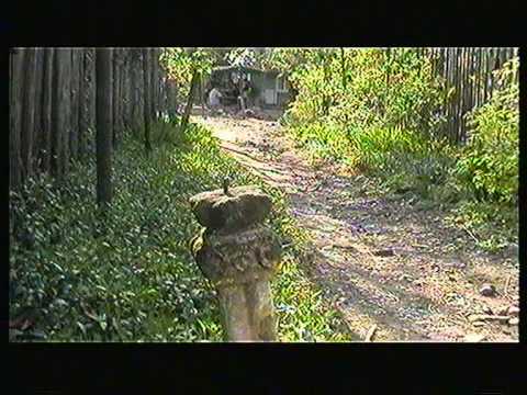 რამაზი წასიძე - ახალი წელი და წვიმა