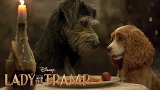 Lady and the Tramp (2019) Trailer #1