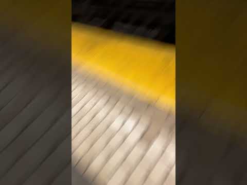 R143 Z train