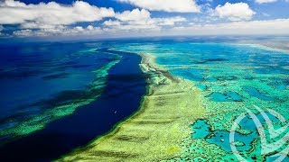 Большой Барьерный Риф - Great Barrier Reef