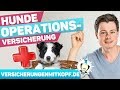 Hunde OP Versicherung | Hunde-Operationskostenversicherung