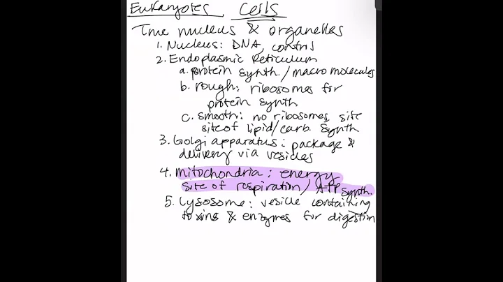 252 - MCRO2124 - 20751 - Lecture Final Exam Major Topics Review - Recording