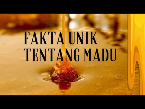 Video: Fakta Unik Tentang Madu