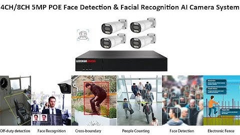 LEEKGOVISION POE AI camera system Face detection facial recognition Intrusion detection