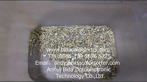 herb color sorter by shape