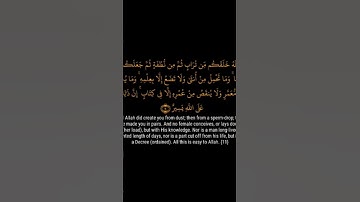 كروما قران شاشه سوداء سوره فاطر تلاوه فارس عباد