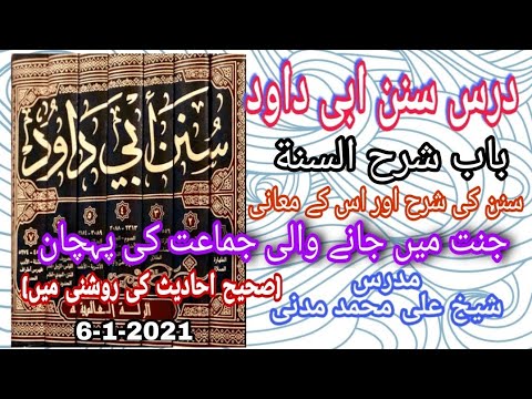 درس سنن أبي داود أردو باب شرح السنة شيخ علي محمد المدني